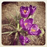 Spring Cleaning…Leave When It’s Time to Go