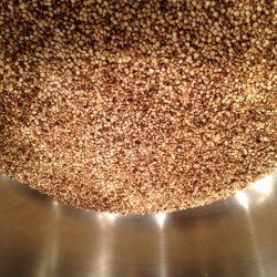 Toasted Quinoa - A Byte of Life