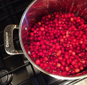 Cranberry Sauce {A Byte of Life}