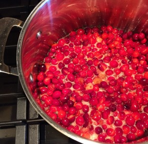 Cranberry Sauce {A Byte of Life}